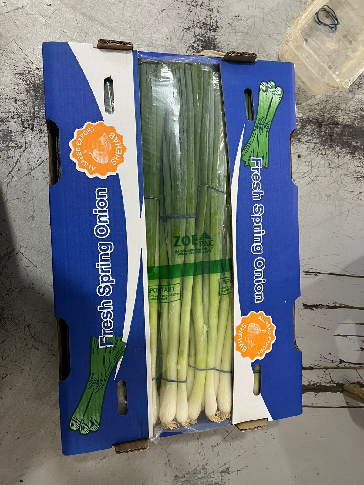 Packing Spring Onion Spring onions - AgroNext